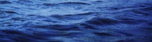 solutions huiles de poissons